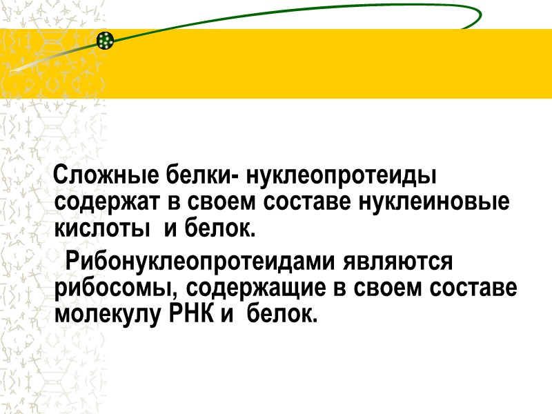 Сложные белки- нуклеопротеиды содержат в своем составе нуклеиновые кислоты  и белок.  